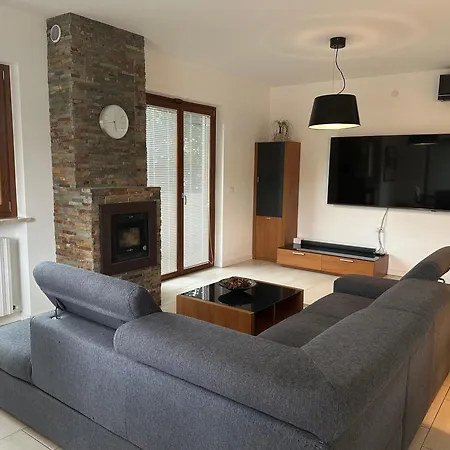 Ciconi